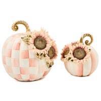 Rosy Stripe Small Sunflower Pumpkin