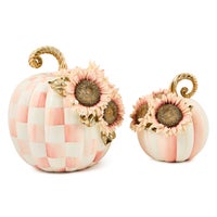 Rosy Check Large Sunflower Pumpkin