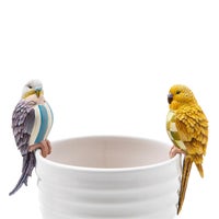 Parakeet Pot Climber - Blue