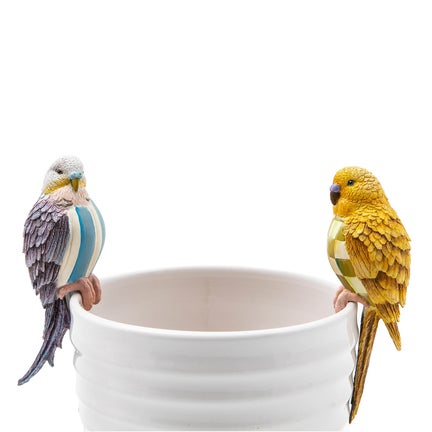 Parakeet Pot Climber - Blue