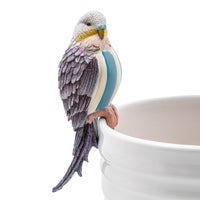 Parakeet Pot Climber - Blue