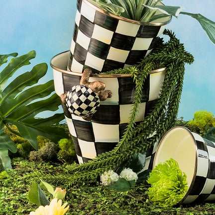 Turtle Pot Climber