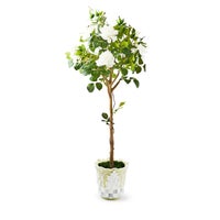 Cameo 52" Potted Rose Topiary