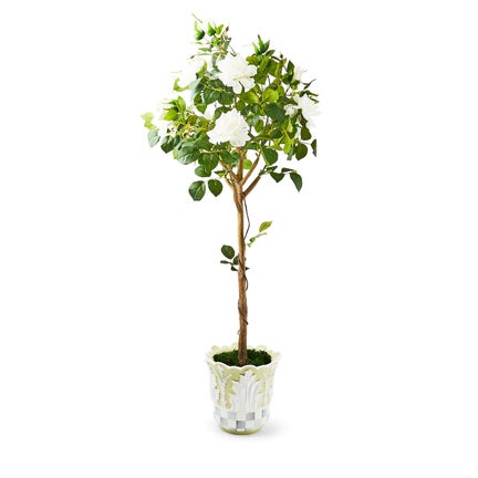 Cameo 52" Potted Rose Topiary