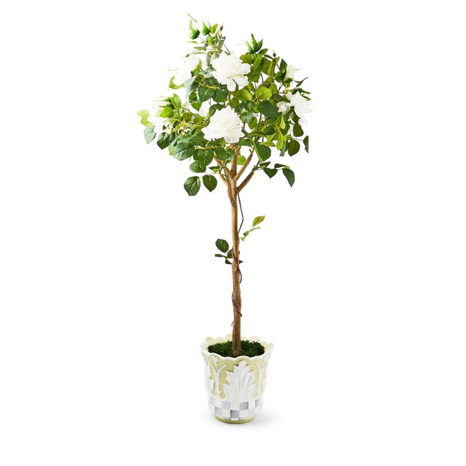 Cameo 52" Potted Rose Topiary image number 0