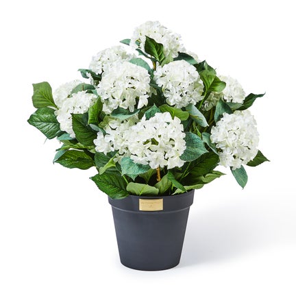 White Hydrangea Urn Filler