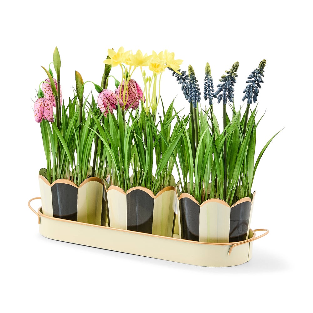 Courtly Stripe Triple Potted Blooms mackenzie-childs Panama imagen 1