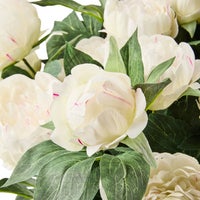 White Peony Urn Filler