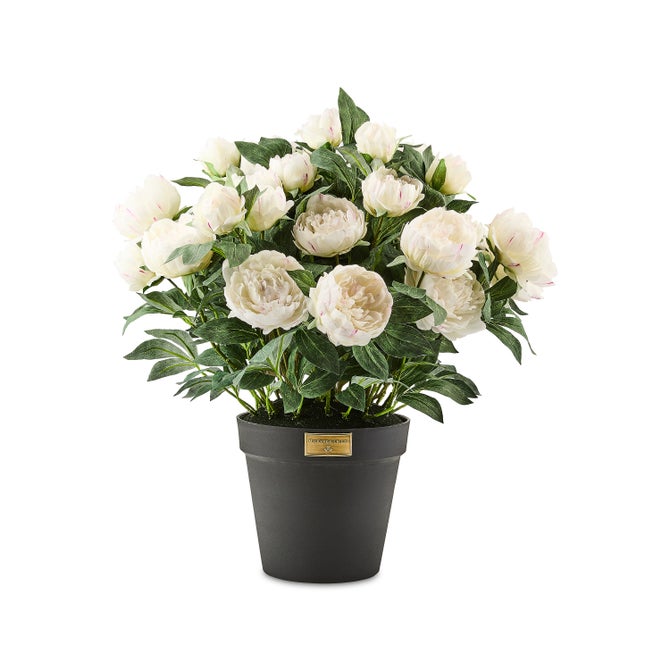White Peony Urn Filler image number 0