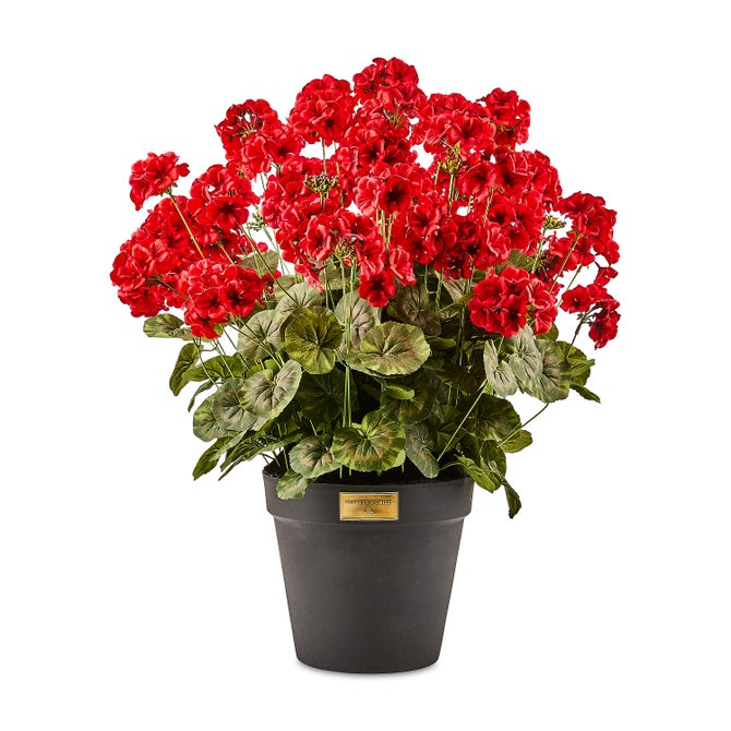 Red Geranium Urn Filler image number 0