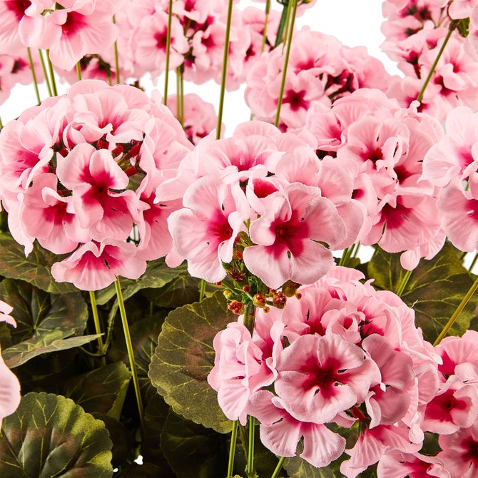 Pink Geranium Urn Filler image number 2