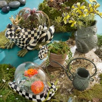 Pot Croaker Pot Climber