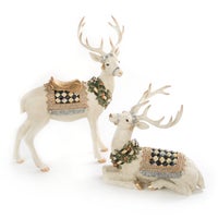 Winter White Stag - Resting