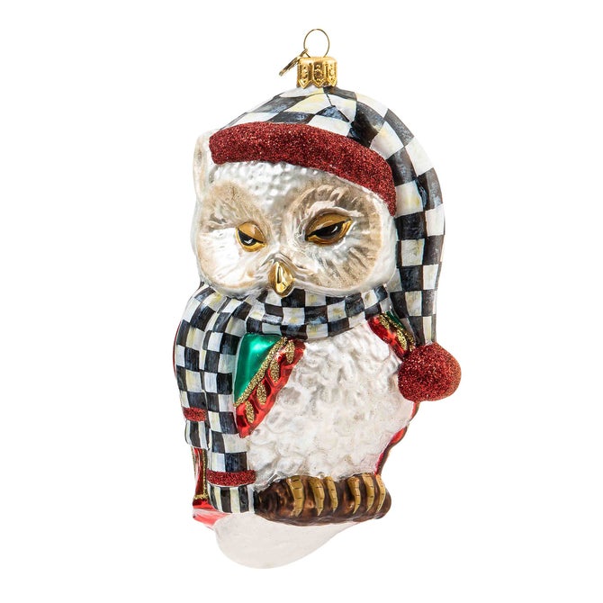 Sleepy Owl Glass Ornament image number 0
