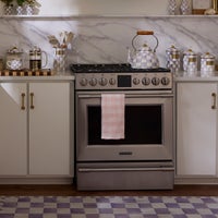 Rosy Check Dish Towel