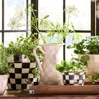 Rosy Check Large Practical Pitcher
