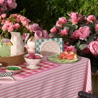 Rosy Check Napkin Holder