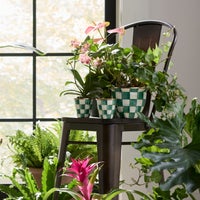 Emerald Check Herb Pots, Set of 3