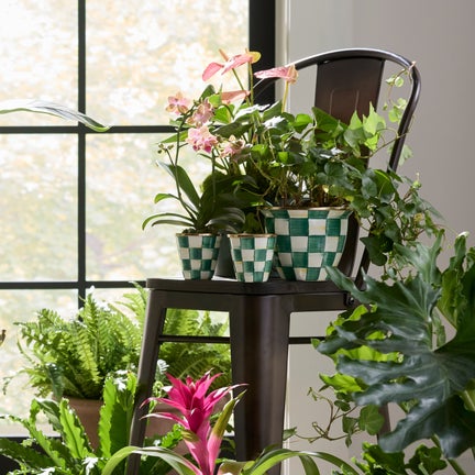 Emerald Check Herb Pots, Set of 3