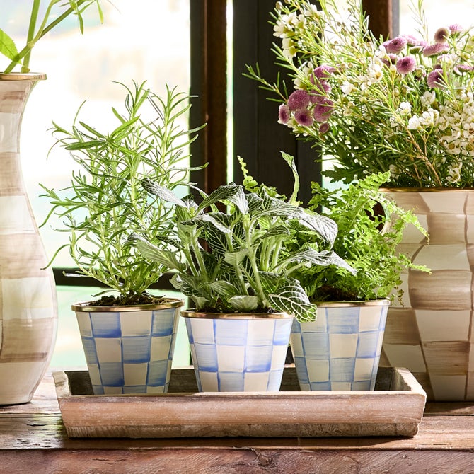 Sky Check Herb Pots, Set of 3 image number 4