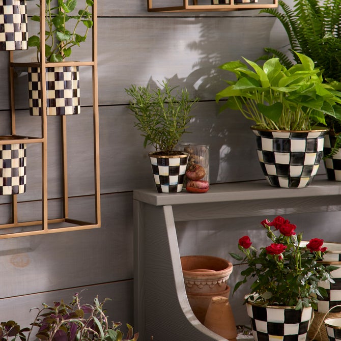 Courtly Check Herb Pots, Set of 3 image number 13