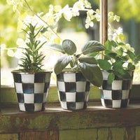 Courtly Check Herb Pots, Set of 3
