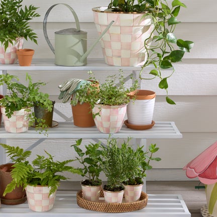 Rosy Check Large Flower Pot