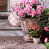 Rosy Check Large Flower Pot