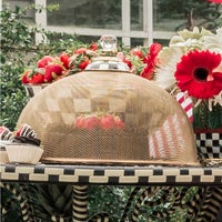 Mesh Dome