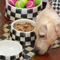 Courtly Check Medium Pet Dish