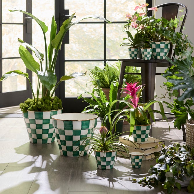 Emerald Check Small Garden Pot image number 2