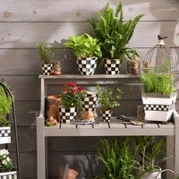 Courtly Check Small Garden Pot