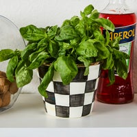 Courtly Check Small Garden Pot