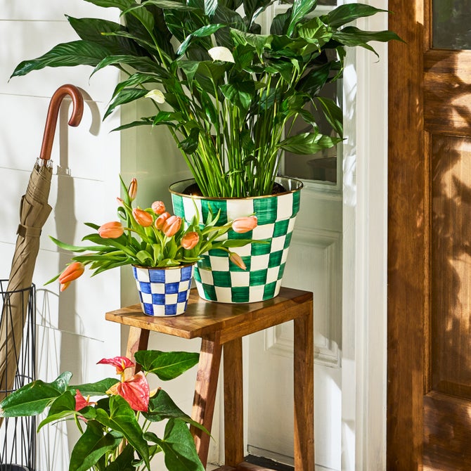 Emerald Check Extra Large Garden Pot image number 3