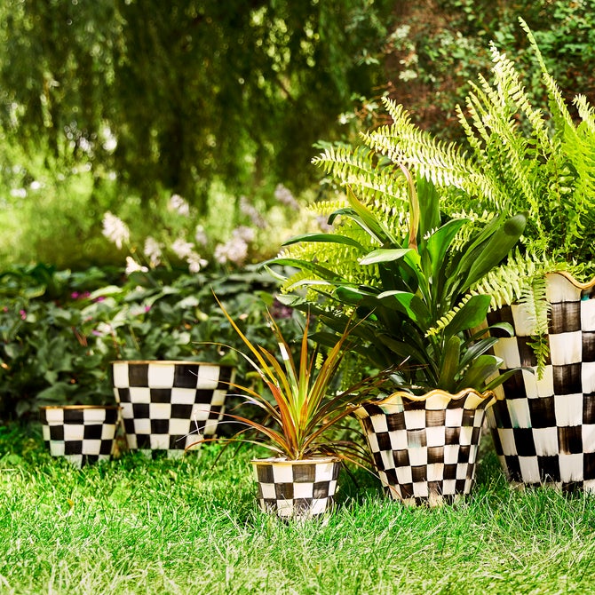 Courtly Check Extra Large Garden Pot image number 7