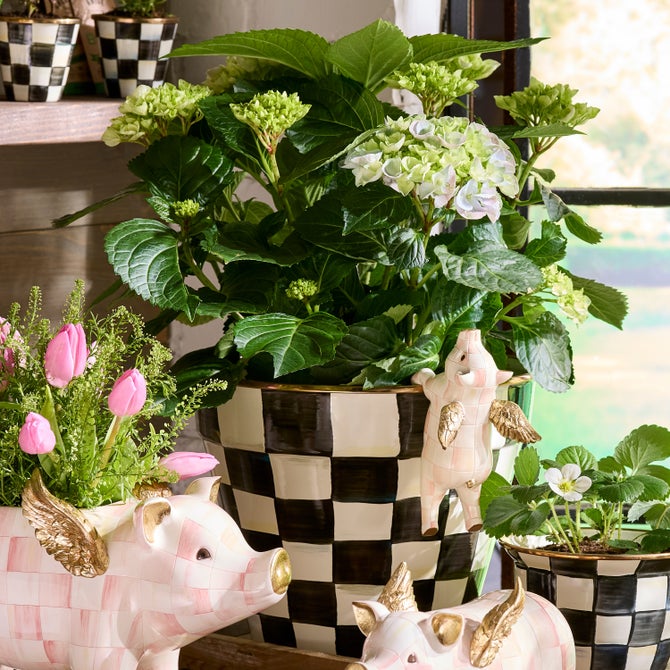 Courtly Check Extra Large Garden Pot image number 9