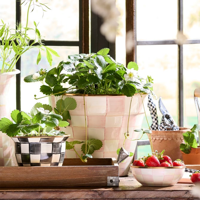 Rosy Check Extra Large Garden Pot image number 5