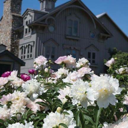 Mother's Day - Painting Event - 4/25 10AM