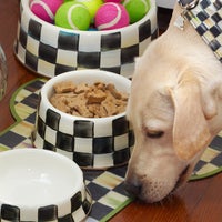 Check Pet Dishes