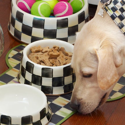Check Pet Dishes