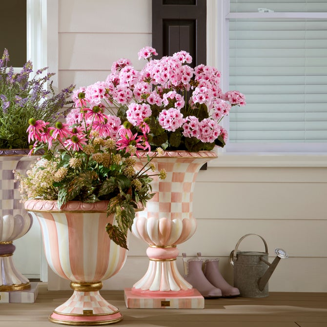 Geranium Urn Filler image number 0