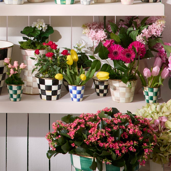 Herb Pots, Set of 3 image number 0