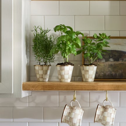 Herb Pots, Set of 3