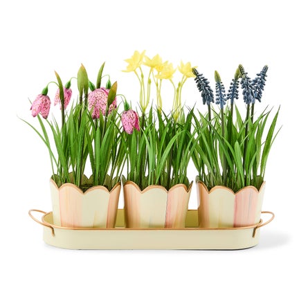 Triple Potted Blooms