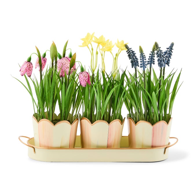 Triple Potted Blooms image number 0