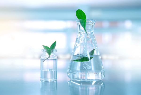 Bomar Bio-Based Oligomers