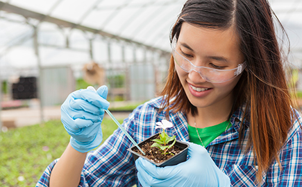 Compeer High School Senior Scholarships