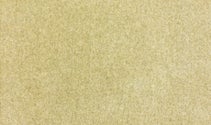 SUEDE