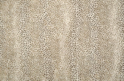 AMUR