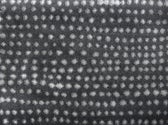 COAL